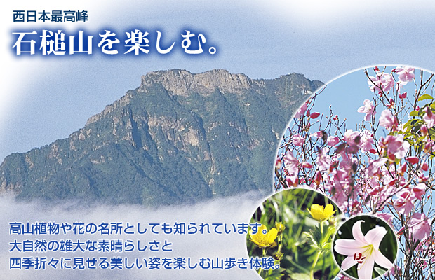 西日本最高峰・石鎚山を楽しむ。高山植物や花の名所としても知られています。大自然の雄大な素晴らしさと四季折々に見せる美しい姿を楽しむ山歩き体験。