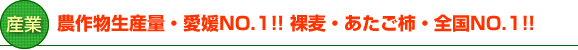 産業：農作物生産量・No.1!!　裸麦・あたご柿・全国No.1!!